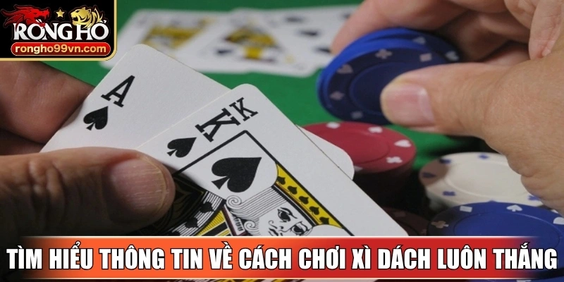 Cách chơi xì dách luôn thắng với chiến thuật thông minh 2 Tìm hiểu thông tin về cách chơi xì dách luôn thắng