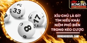 Xỉu chủ là gì? Tìm hiểu khái niệm phổ biến trong kèo cược