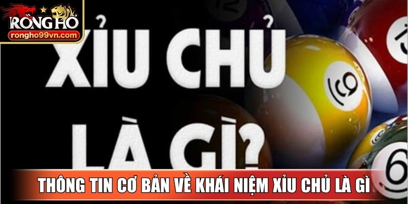 Thông tin cơ bản về khái niệm xỉu chủ là gì